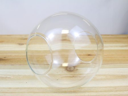 5.5 Inch Glass Terrarium with Two Open Ends Hot on Sale