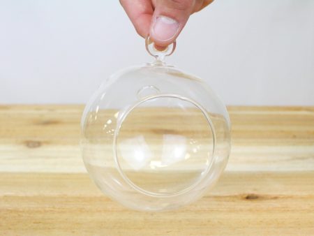 Wholesale: Round Bottom Hanging Globe Terrariums [Min Order 48] Online