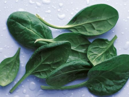 10oz Baby Spinach (each) For Cheap